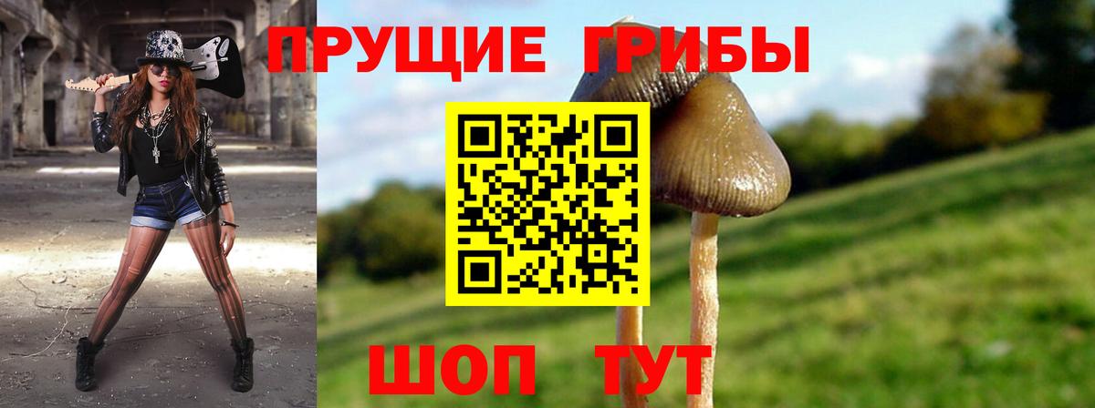 Гудермес  Галлюциногенные грибы Magic Shrooms  Галлюциногенные грибы прущие грибы  Вход с VPN 