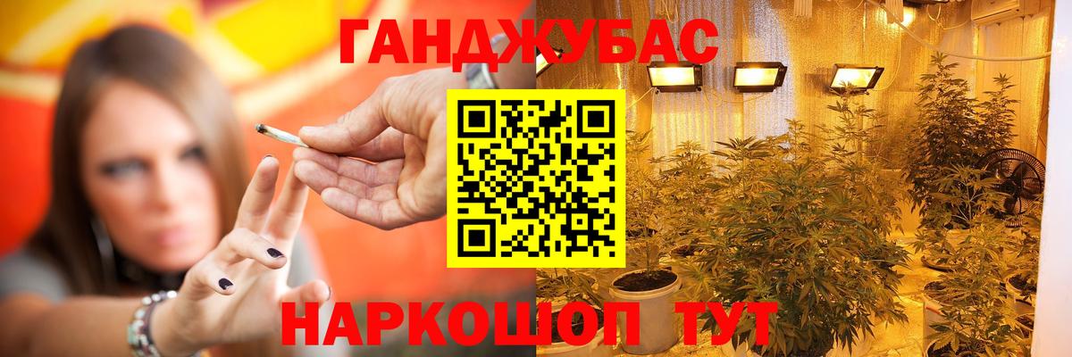 Канабис конопля Гудермес